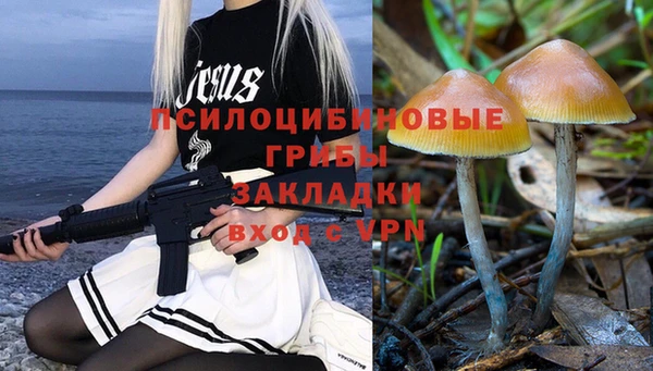 мяу мяу мука Алзамай