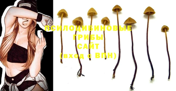 мяу мяу мука Алзамай